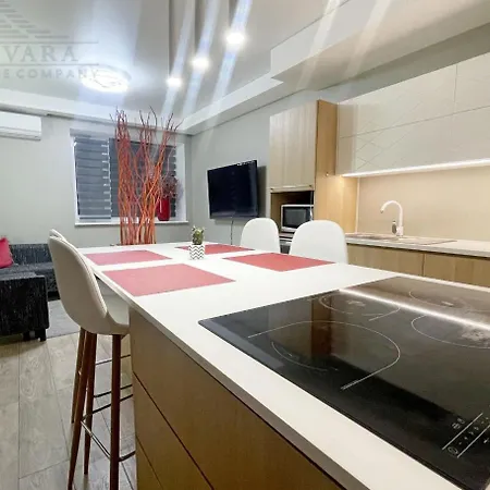 公寓 Entire Apartment 塔林
