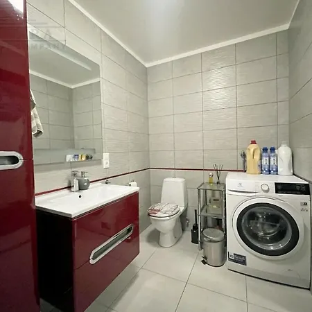 公寓 Entire Apartment
